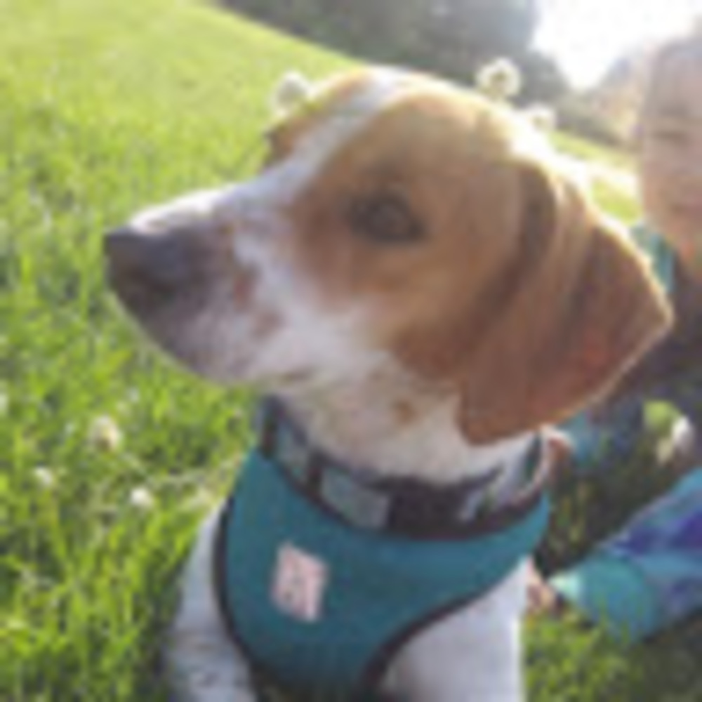 Meet your Posher, Alexis